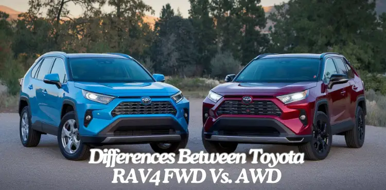 Differences Between Toyota RAV4 FWD Vs. AWD Differences Between Toyota RAV4 FWD Vs. AWD